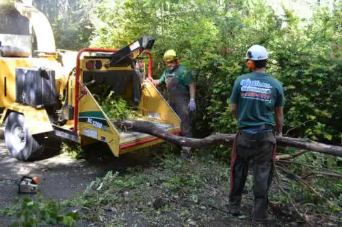 tree services Anamosa